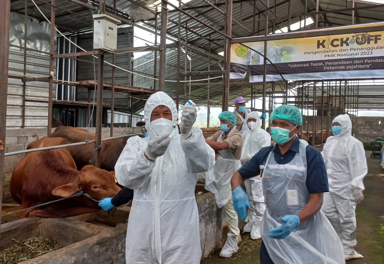 2023 Pemprov Jateng Targetkan Vaksin bagi 2,4 Juta Ternak Untuk Putuskan PMK